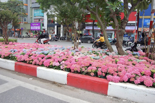 Một góc đường Trần Duy Hưng, Hà Nội gây chú ý - Ảnh 1.
