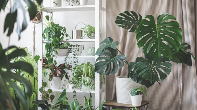 Avatar1767762919855 1767762920194984794750