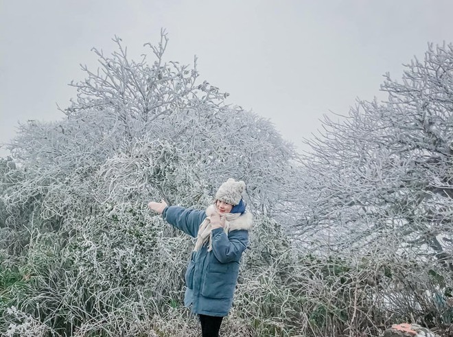 Ngo&agrave;i Fansipan, Mẫu Sơn, nơi n&agrave;y cũng c&oacute; băng gi&aacute; d&agrave;y đặc: Độ cao gần 2000m, c&aacute;ch H&agrave; Nội hơn 200km - Ảnh 7.