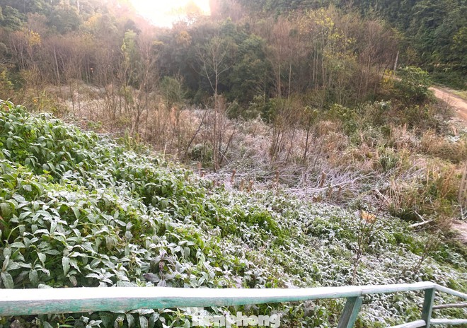 Ngoài Fansipan, Mẫu Sơn, hôm nay băng giá xuất hiện ở cả điểm miền Trung này - Ảnh 3.