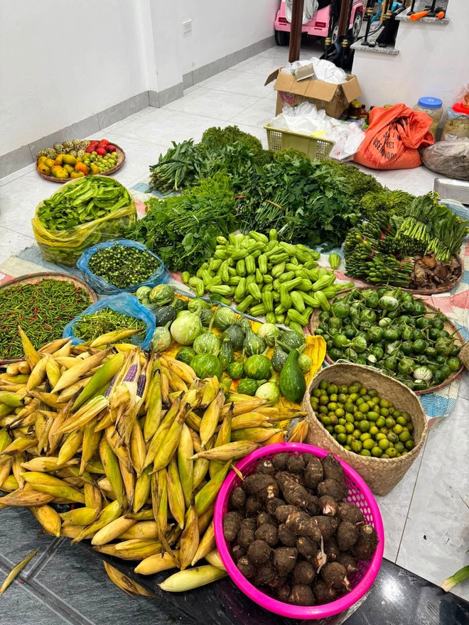 Cặp vợ chồng cất bằng đại học đi b&aacute;n rau, từng bị mối h&agrave;ng lừa, đi xin lỗi từng kh&aacute;ch v&agrave; th&agrave;nh quả sau 2 năm - Ảnh 1.