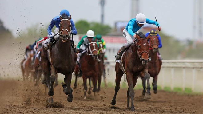 avatar1771655983890 177165598421253446716