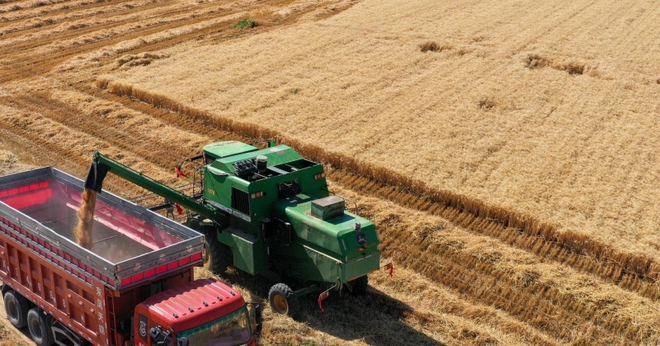 avatar1771675250163 1771675250507600213176