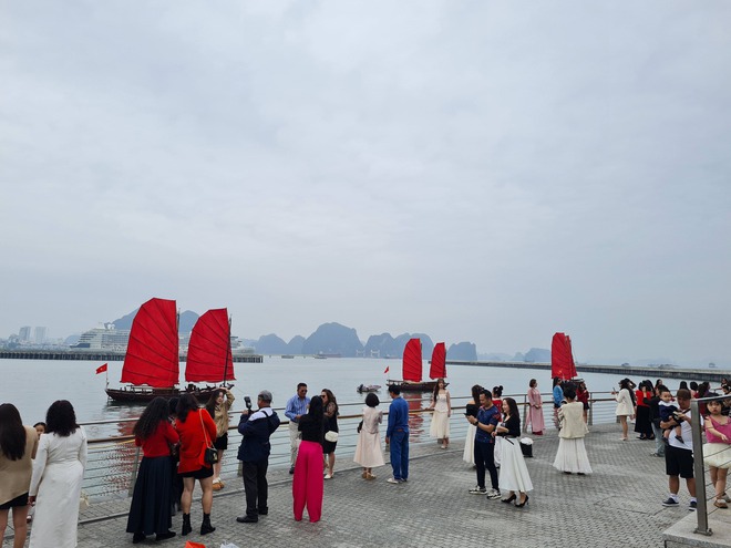 Ch&iacute;nh thức: Tạm dừng hoạt động của thuyền buồm đỏ ven bờ vịnh Hạ Long, l&yacute; do l&agrave; g&igrave;? - Ảnh 1.