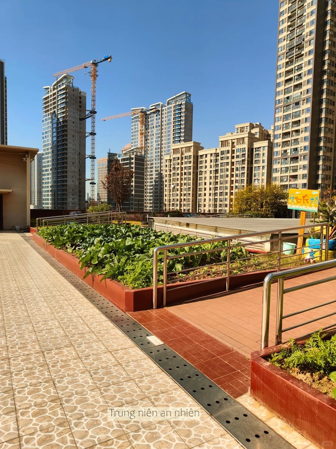 Xuất hiện viện dưỡng lão phòng như chung cư, giá phòng từ hơn 16 triệu đồng/tháng, - Ảnh 9.