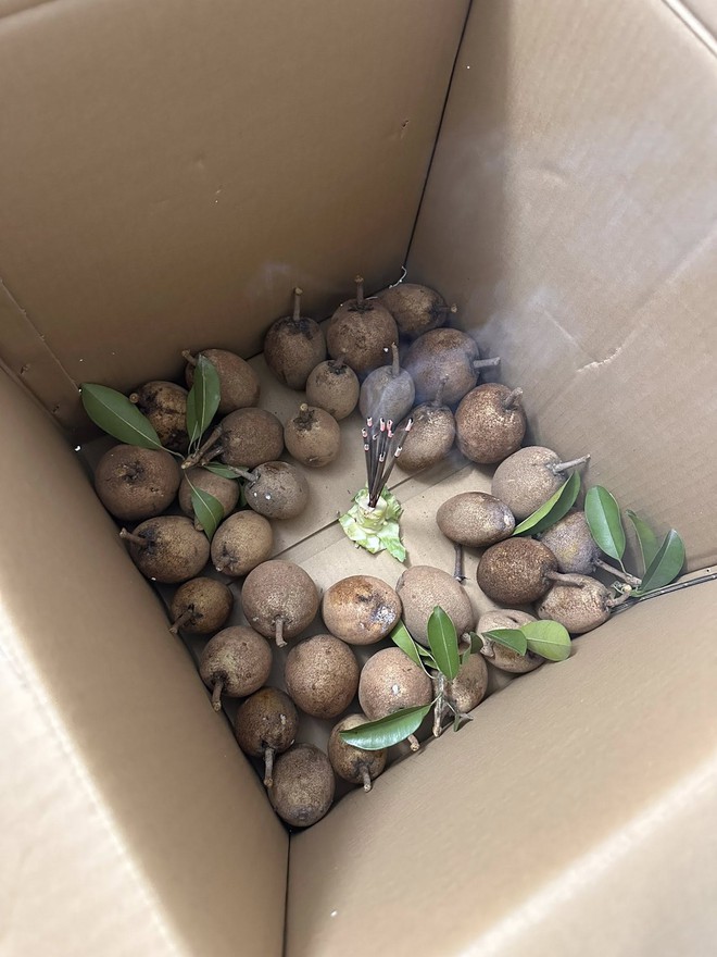 Cô gái cắm hương vào thùng hoa quả, nhiều người thắc mắc vì sao - Ảnh 1.