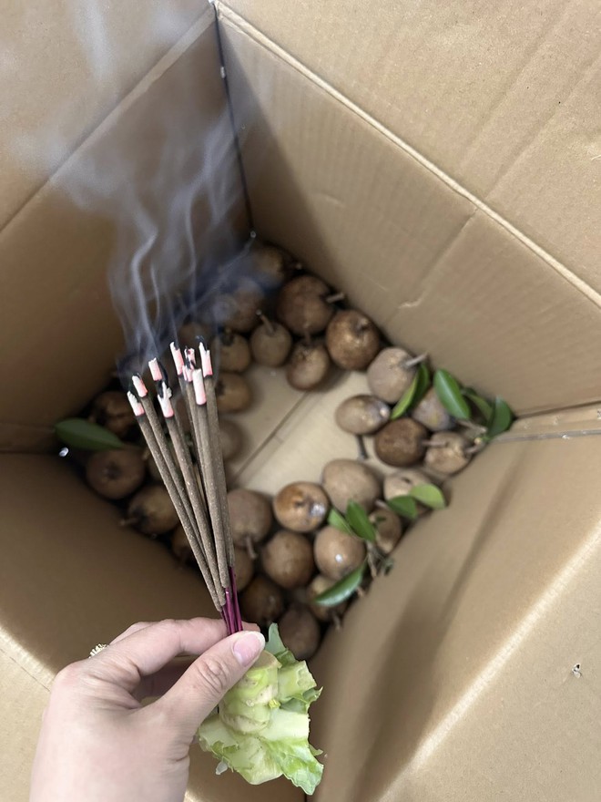 Cô gái cắm hương vào thùng hoa quả, nhiều người thắc mắc vì sao - Ảnh 2.