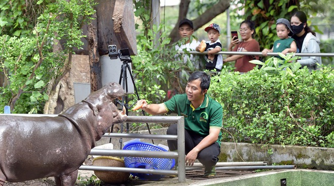 Sở thú lâu đời nhất Việt Nam bất ngờ “hẹn” khách vào 9h sáng Chủ nhật tuần này - Ảnh 10.