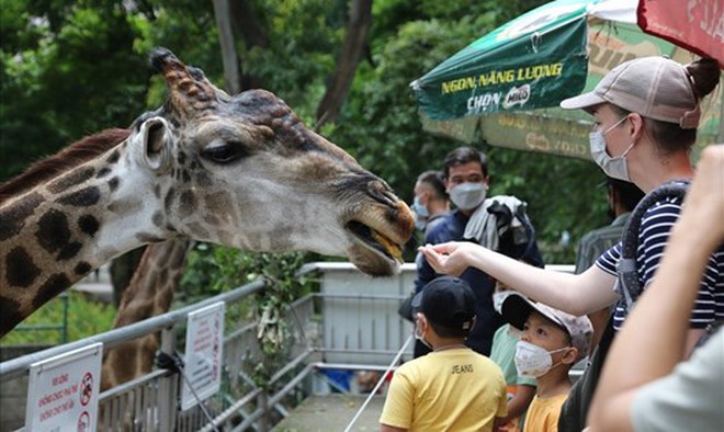 Sở thú lâu đời nhất Việt Nam bất ngờ “hẹn” khách vào 9h sáng Chủ nhật tuần này - Ảnh 9.