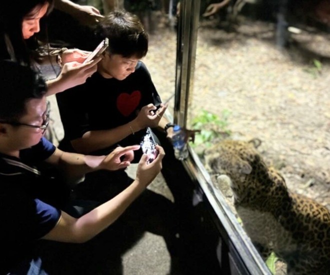 Sở thú lâu đời nhất Việt Nam bất ngờ “hẹn” khách vào 9h sáng Chủ nhật tuần này - Ảnh 11.