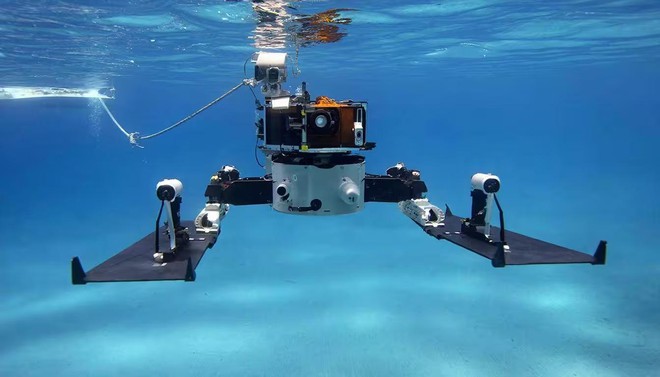 avatar1774796481097 1774796481531391673684