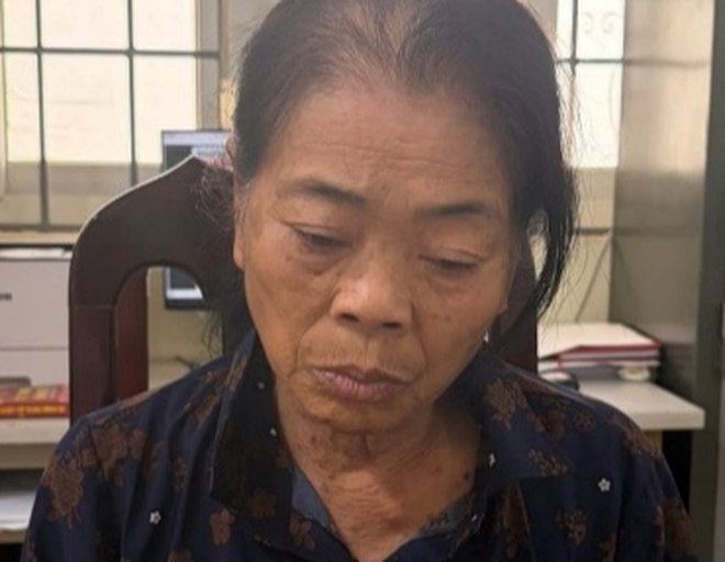 Bắt cụ b&agrave; Đinh Thị Hải sinh năm 1959 - Ảnh 2.