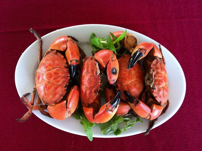 Nhà hàng Hồng Hạnh nổi tiếng Hạ Long ra thông báo quan trọng - Ảnh 7.