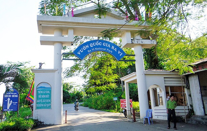 Cảnh tượng ngay tại Hồ Gươm, Hà Nội khiến nhiều người phải thốt lên: Không tin vào mắt mình! - Ảnh 7.