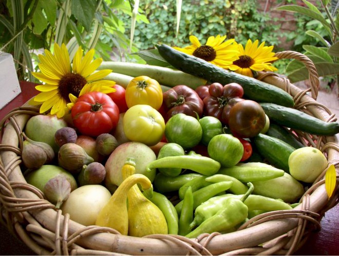Gia đình này thu hoạch hơn 2 tấn rau sạch mỗi năm! - Ảnh 3.