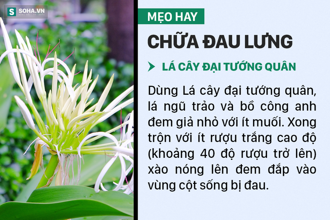 Mẹo trị đau lưng không cần dùng thuốc - Ảnh 1.