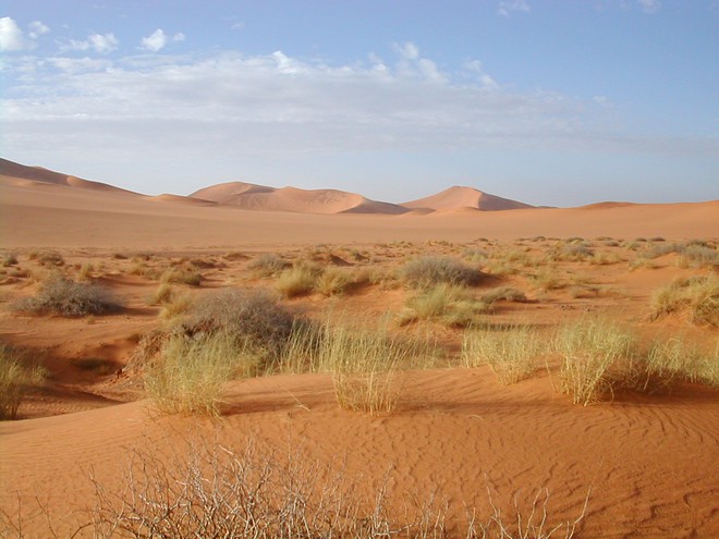 Đố bạn phân biệt được hoang mạc và sa mạc khác nhau như thế nào? - Ảnh 1.