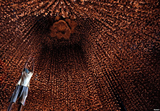 24h qua ảnh: Phát hiện con trăn khổng lồ dài 10m ở Brazil - Ảnh 5.