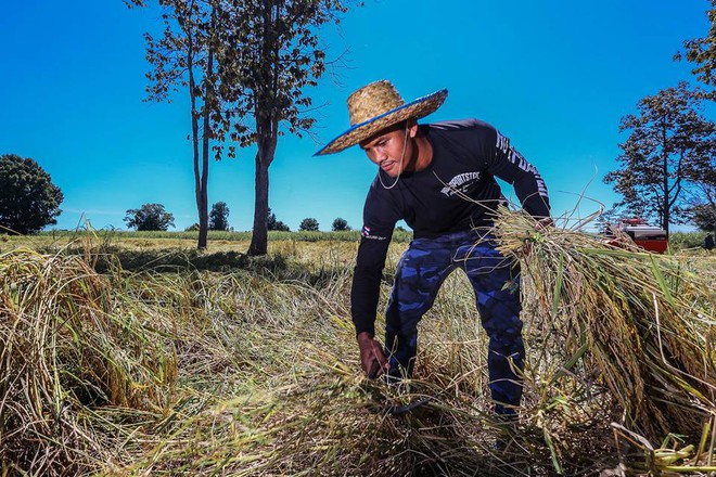 “Thánh Muay Thái” gây ngỡ ngàng sau khi bị xử ép tại Trung Quốc - Ảnh 1.