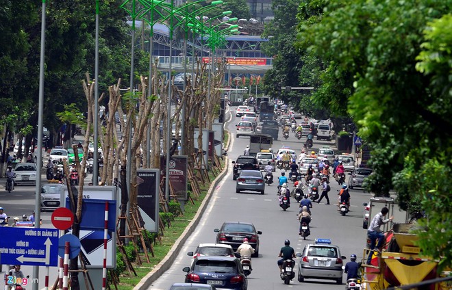 Ngắm một Hà Nội có hoa phượng nở cả bốn mùa trong năm - Ảnh 9.