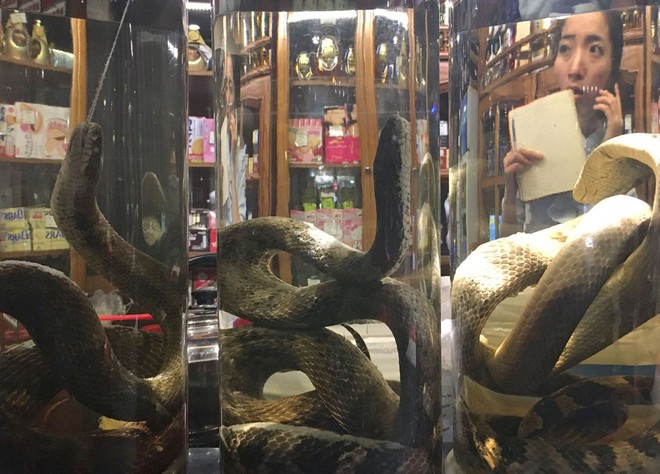 24h qua ảnh: Nhà hàng bán rượu rắn hổ mang ở Triều Tiên - Ảnh 8.