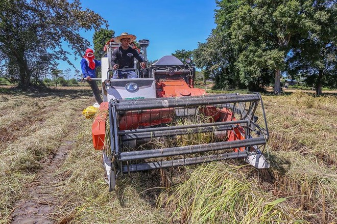 “Thánh Muay Thái” gây ngỡ ngàng sau khi bị xử ép tại Trung Quốc - Ảnh 10.