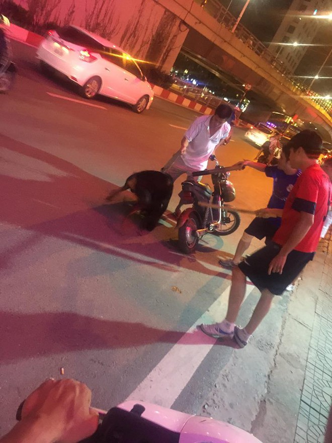 Người chủ la khóc, ôm chặt chú chó bị đâm giữa phố Hà Nội - Ảnh 1.