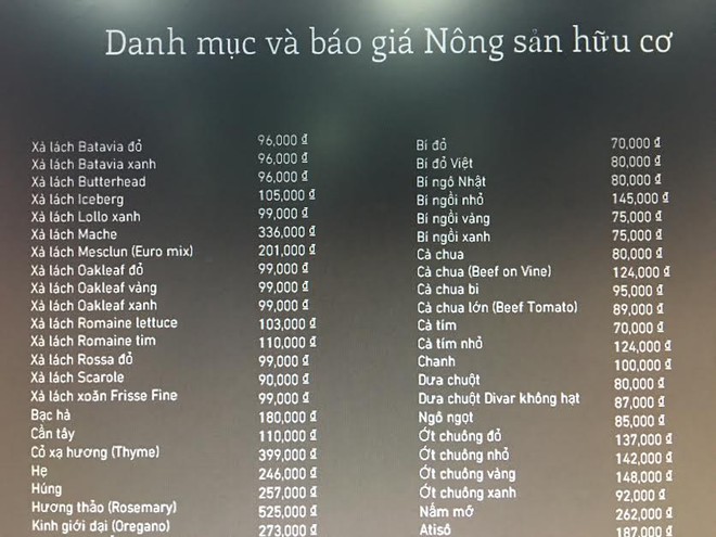 Rau nhà giàu: Đắt gấp đôi bò Mỹ, đỡ tiền mua thuốc - Ảnh 2.