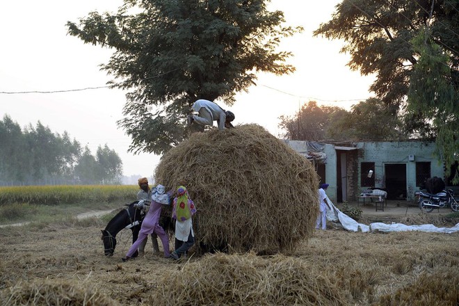 7 ngày qua ảnh: Quân đội Iraq áp sát sào huyện của phiến quân IS - Ảnh 10.