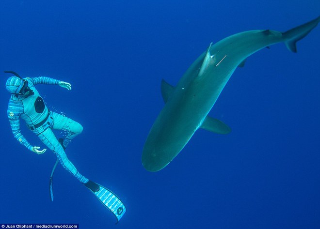 Áo lặn tàng hình: Đi bơi gặp cá mập... chẳng phải sợ! - Ảnh 4.