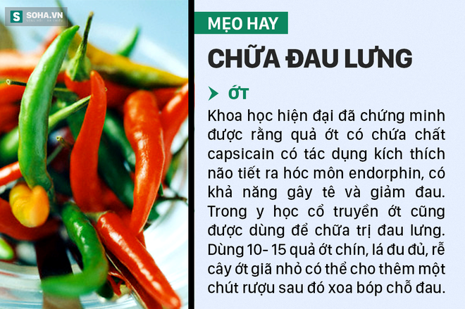 Mẹo trị đau lưng không cần dùng thuốc - Ảnh 4.