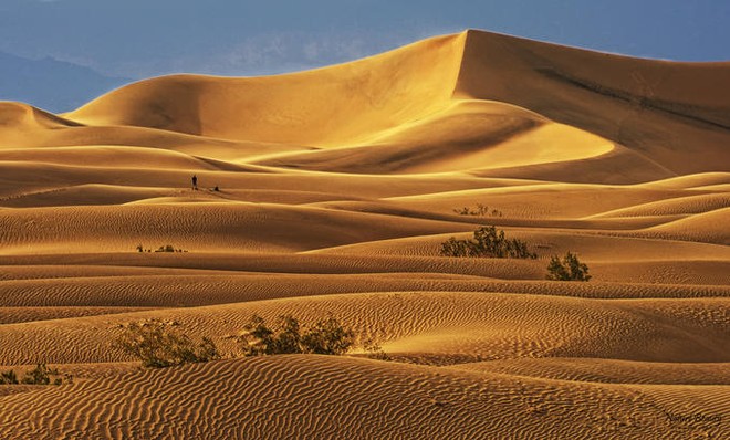 Đố bạn phân biệt được hoang mạc và sa mạc khác nhau như thế nào? - Ảnh 4.