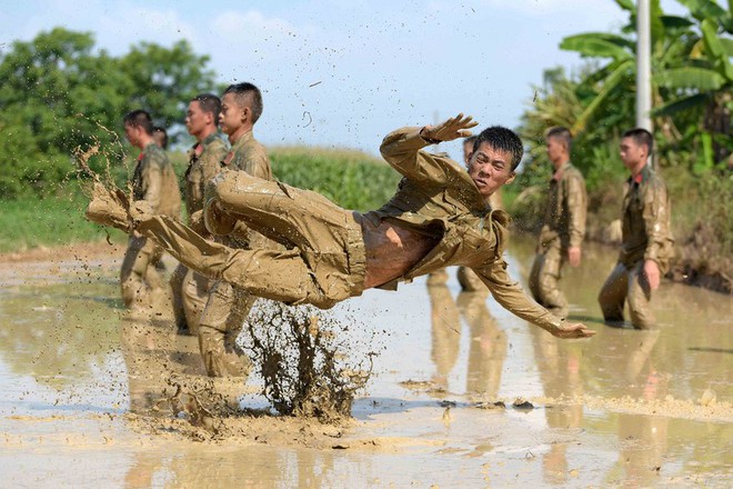 24h qua ảnh: Rắn khiêu vũ trước khi giao phối - Ảnh 6.