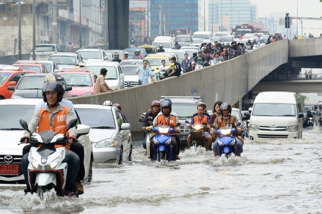 24h qua ảnh: Sư tử một mình quyết chiến với bầy linh cẩu đói - Ảnh 3.