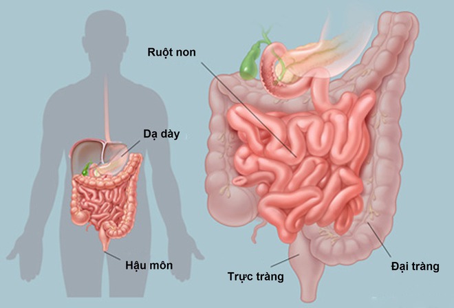 Bí mật kinh dị chưa từng kể về cơ thể người - Ảnh 6.