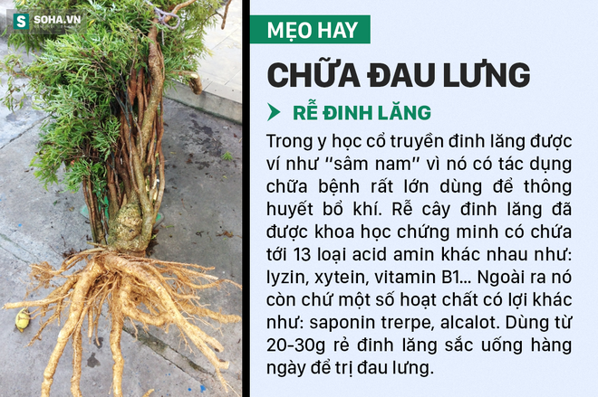 Mẹo trị đau lưng không cần dùng thuốc - Ảnh 7.