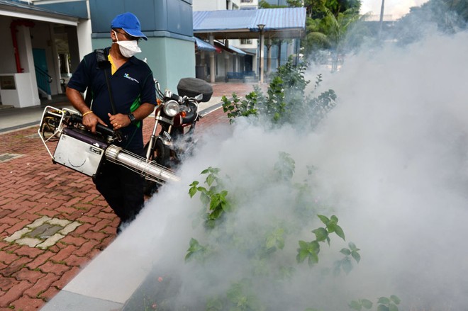 7 ngày qua ảnh: Linh dương đạp đầu cá sấu để thoát hiểm - Ảnh 9.