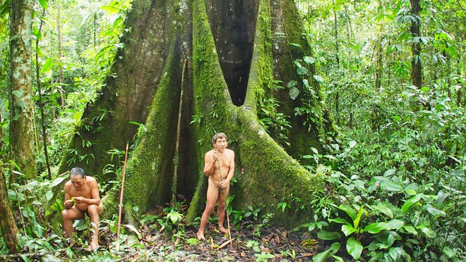 Bí mật chết chóc ở thế giới ngầm đáng sợ nhất rừng già Amazon - Ảnh 2.