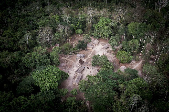 Chuyện gì xảy ra nếu rừng Amazon biến mất? - Ảnh 4.