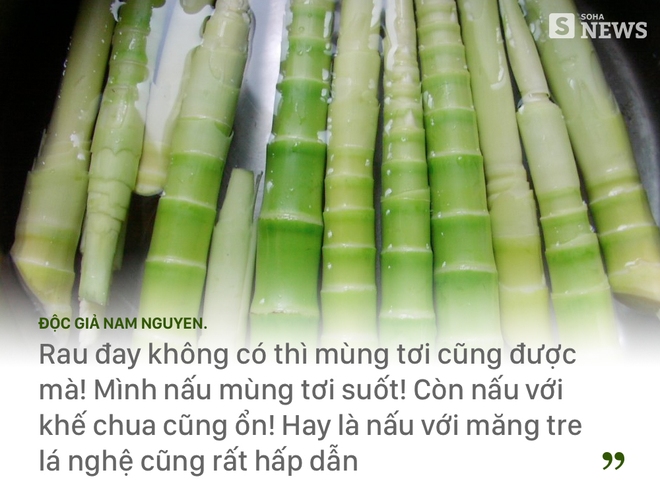 Canh cua nấu với thứ gì? Đây là hàng loạt câu trả lời! - Ảnh 12.