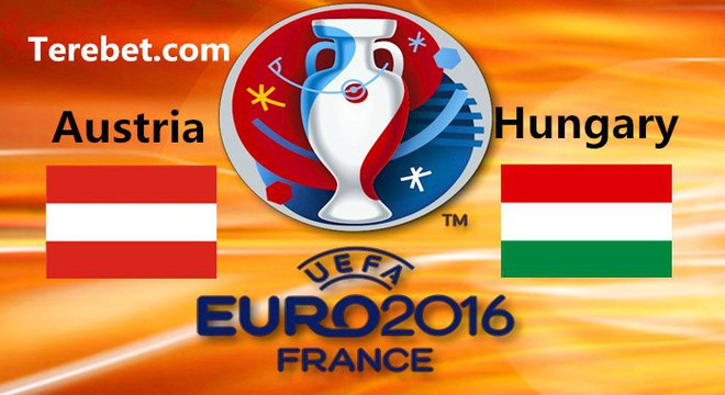 Áo vs Hungary: Khi Hoa hồng mất gai - Ảnh 1.