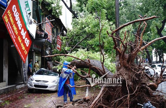 Cảnh tượng khủng khiếp: Ô tô, xe máy thất thủ trước bão số 1 - Ảnh 9.