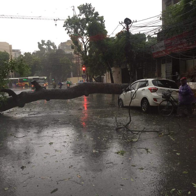 Cảnh tượng khủng khiếp: Ô tô, xe máy thất thủ trước bão số 1 - Ảnh 11.