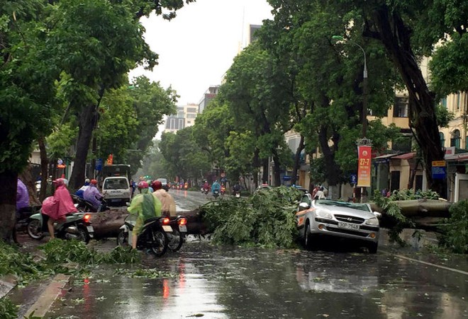 Cảnh tượng khủng khiếp: Ô tô bị cây đè, xe máy bị thổi bay do bão số 1 - Ảnh 3.