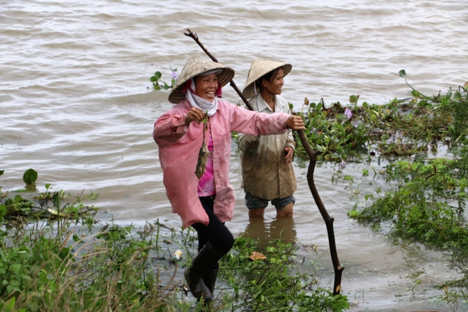 Nước lũ ngập đồng, người dân đổ xô đi săn chuột - Ảnh 5.