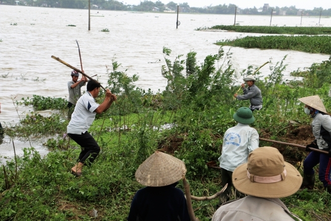 Nước lũ ngập đồng, người dân đổ xô đi săn chuột - Ảnh 3.