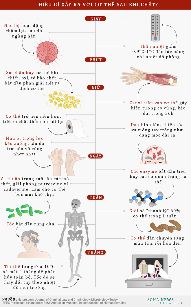 Không thể tin được: Cơ thể người sau khi chết lại biến đổi thú vị như thế này! - Ảnh 2.