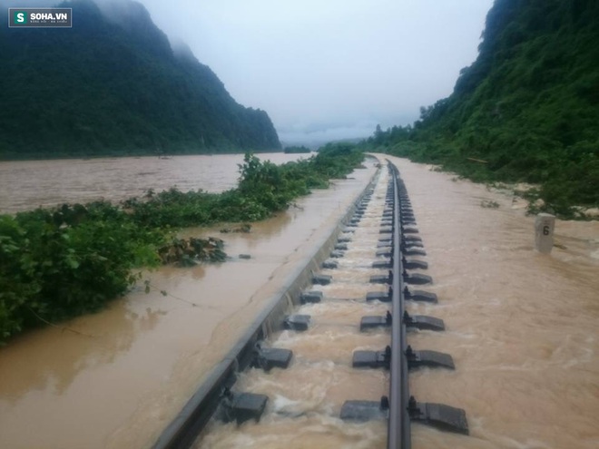 96 người nước ngoài mắc kẹt ở Quảng Bình vì mưa lũ lớn - Ảnh 1.