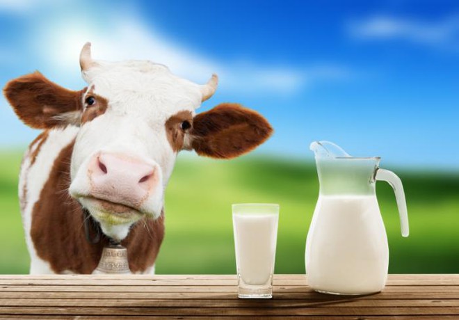 Trong tương lai không xa, loài người sẽ phải tiêu thụ cả... sữa gián - Ảnh 1.