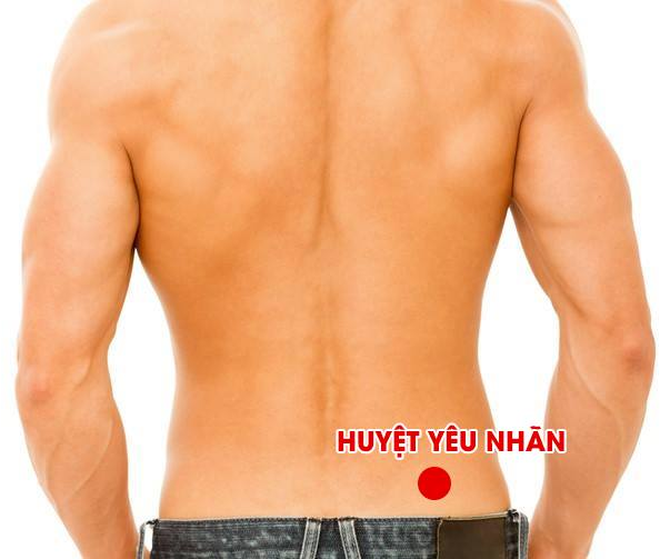 huyet-yeu-nhan1-1465268632899.png